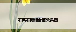 石英石橱柜台面效果图