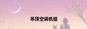 吊顶空调机组
