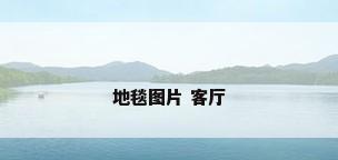 地毯图片 客厅