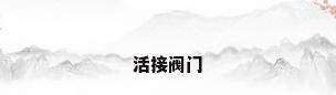 活接阀门