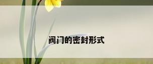 阀门的密封形式