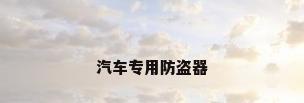 汽车专用防盗器