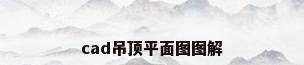 cad吊顶平面图图解