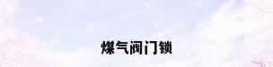 煤气阀门锁