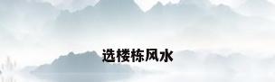 选楼栋风水