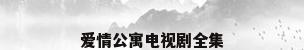 爱情公寓电视剧全集