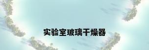 实验室玻璃干燥器
