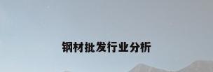 钢材批发行业分析