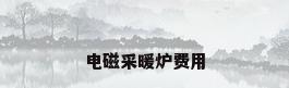 电磁采暖炉费用