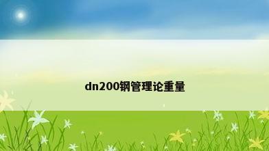 dn200钢管理论重量