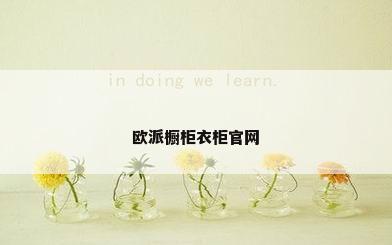 欧派橱柜衣柜官网