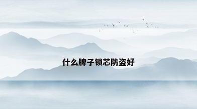 什么牌子锁芯防盗好