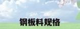 钢板料规格