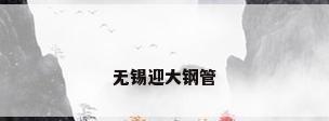 无锡迎大钢管