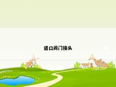 进口阀门接头