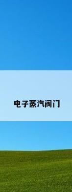 电子蒸汽阀门