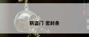 防盗门 密封条