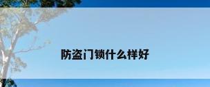 防盗门锁什么样好