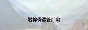岩棉保温管厂家