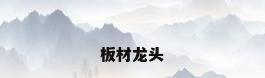 板材龙头