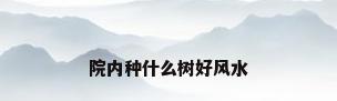 院内种什么树好风水
