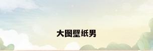 大图壁纸男