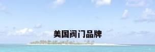 美国阀门品牌