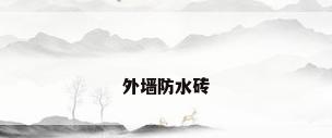 外墙防水砖