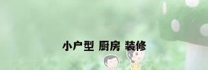 小户型 厨房 装修
