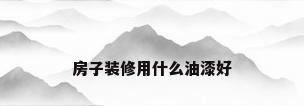 房子装修用什么油漆好