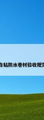 自粘防水卷材验收规范