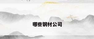 哪些钢材公司