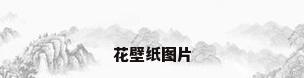 花壁纸图片