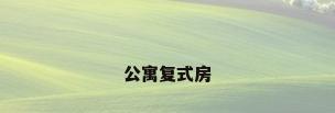 公寓复式房