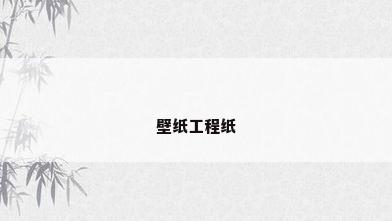 壁纸工程纸