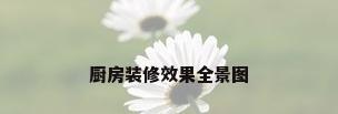 厨房装修效果全景图
