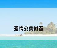 爱情公寓封面