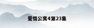 爱情公寓4第23集