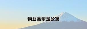 物业类型是公寓