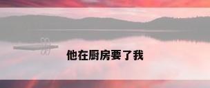 他在厨房要了我