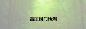 高压阀门检测