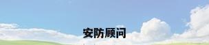 安防顾问