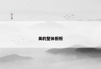 美的整体橱柜
