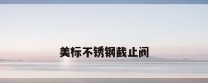 美标不锈钢截止阀