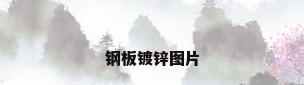 钢板镀锌图片