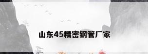 山东45精密钢管厂家