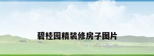 碧桂园精装修房子图片