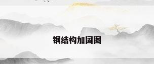 钢结构加固图