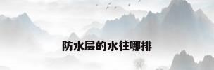 防水层的水往哪排
