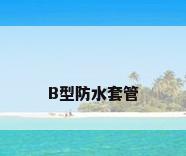 B型防水套管